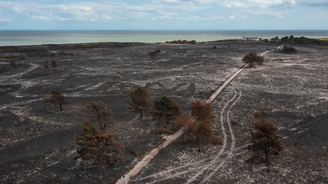 Fire damage at Dunwich Heath in August 2026